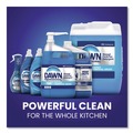 Dishwashing Detergents | Dawn Professional 57445 Manual Pot/Pan Dish Detergent - Original image number 9