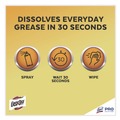 Industrial Cleaning Products | Professional EASY-OFF 62338-85260 Fume Free Max Oven Cleaner, Foam, Lemon, 24 Oz Aerosol Spray, 6/carton image number 10