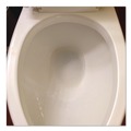 Drain Cleaners | Quick Dam WS12-12 17.75 L 12 oz Water Stop (12/Carton) image number 2