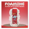 Carpet Cleaners | RESOLVE 19200-00706 22 oz. Aerosol Spray Foam Carpet Cleaner (12/Carton) image number 2