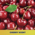 Soap Refills | Zep Commercial 95124 1 gal. Bottle Cherry Bomb Hand Cleaner - Cherry Scent image number 6