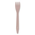 Disposable Forks | Eco-Products EP-S212-W General Purpose Fork Wood Cutlery - Natural (500/Carton) image number 1