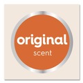 Soap Refills | Dial Professional 19723 1.7 Liter Antibacterial Foaming Hand Wash Refill for 1700 V Dispenser - Original Scent (3/Carton) image number 8