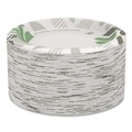 Plates | Dixie SXP9PATH Pathways Soak Proof Shield 8.5 in. Paper Plates - Green/Burgundy (125/Pack) image number 1