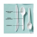 Disposable Spoons | Pactiv Corp. YFWSWCH Fieldware Mediumweight Spoon Cutlery - White (1,000/Carton) image number 3