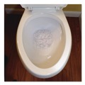 Drain Cleaners | Quick Dam WS12-12 17.75 L 12 oz Water Stop (12/Carton) image number 3