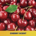 Soap Refills | Zep Commercial 95124 1 gal. Bottle Cherry Bomb Hand Cleaner - Cherry Scent (4/Carton) image number 7