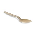 Disposable Spoons | Pactiv Corp. YPSMSTEC 5.88 in. EarthChoice PSM Heavyweight Cutlery Spoon - Tan (1000/Carton) image number 1