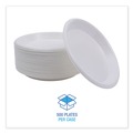 Plates | Boardwalk BWKPLHIPS10WH 10 in. Diameter Hi-Impact Plastic Dinnerware Plate - White (500/Carton) image number 4