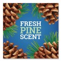 Disinfecting & Cleaning Solutions | Pine-Sol 60606EA CloroxPro 80 oz. Concentrated Multi-Surface Disinfectant Cleaner - Original Pine image number 9