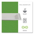 Perforated Roll & Hand Towels | Eco-Products EP-P021NFA 6 x 6 Vanguard Renewable and Compostable Sugarcane Plates - White (500/Carton) image number 9