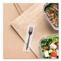 Disposable Forks | SOLO RSK1-0004 Reliance Mediumweight Cutlery, Fork - Black (1,000/Carton) image number 5