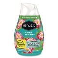 Air Fresheners & Odor Eliminators | Renuzit 43100 7 oz Solid Adjustables Air Freshener - After the Rain Scent (12/Carton) image number 1