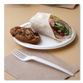 Plates | Eco-Products EP-P005NFA Vanguard 10 in. Diameter Renewable and Compostable Sugarcane Plates - White (500/Carton) image number 6