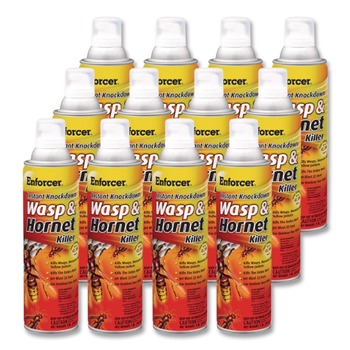 AMREP EWHIK16 16 oz. Aerosol Spray Wasp and Hornet Killer (12/Carton)