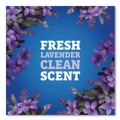 All Purpose Cleaners & Degreasers | Pine-Sol 60608CT CloroxPro 80 oz. Bottle Multi-Surface Cleaner Concentrated - Lavender Clean Scent (3/Carton) image number 5