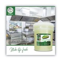 Fabric Refreshers | OdoBan 911062-5G CONCENTRATED ODOR ELIMINATOR AND DISINFECTANT, EUCALYPTUS, 5 GAL PAIL image number 1