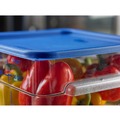 Food Storage Containers & Lids | Carlisle 1197260 11.38 in. x 11.38 in. x 0.63 in. Squares Food Storage Container Lid - Blue image number 1