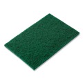 Scouring Pads & Sticks | AmerCareRoyal S960 6 x 9 Medium-Duty Scouring Pad - Green (60/Carton) image number 0