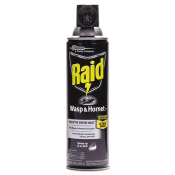 Raid 377651 14-Ounce Wasp and Hornet Killer Spray (12/Carton)