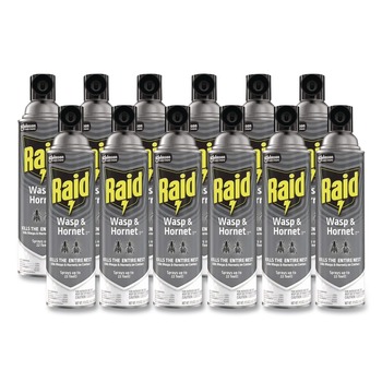 Raid 377651 14-Ounce Wasp and Hornet Killer Spray (12/Carton)