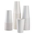 Cups | Karat C-KCP16W 16 oz. Double Poly Paper Cold Cups - White (1000/Carton) image number 1