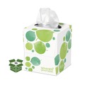 Facial Tissues | Seventh Generation SEV 13719 2-Ply 100 Percent Recycled Facial Tissue (36/Carton) image number 1