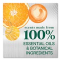 Dishwashing Detergents | Seventh Generation 10732913451699 16 oz. Bottle Foaming Dish Spray - Mandarin Orange Scent (6/Carton) image number 8