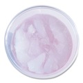 Cups | Boardwalk BWKPET14 14 oz. PET Cups - Clear (50/Bag, 20 Bags/Carton) image number 3