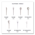 Disposable Forks | Eco-Products EP-S012 6 in. Plantware Compostable Cutlery Fork - Pearl White (1000/Carton) image number 8