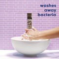 Hand Soaps | Softsoap US03574A 11.25 oz Pump Bottle Antibacterial Hand Soap - White Tea and Berry Fusion image number 5