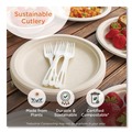 Disposable Knives | World Centric KNPS6 6.7 in. TPLA Compostable Cutlery Knife - White (1000/Carton) image number 1