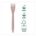 Disposable Forks | Eco-Products EP-S212-W General Purpose Fork Wood Cutlery - Natural (500/Carton) image number 4