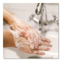 Hand Soaps | Dial Professional 1700098606 15.2 oz. Antibacterial Foaming Hand Wash - Original Scent (4/Carton) image number 5
