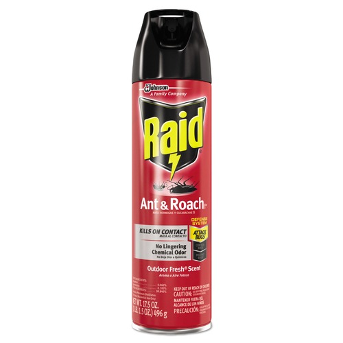 Insecticides | Raid 386220 17.5 oz. Aerosol Spray Ant and Roach Killer - Outdoor Fresh (12/Carton) image number 0