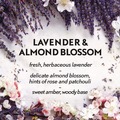 Air Fresheners & Odor Eliminators | Air Wick 62338-02034 0.67 oz. Essential Mist Starter Kit - Lavender and Almond Blossom (4/Carton) image number 6