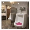 Toilet & Urinal Deodorizers | Boardwalk WCBX-P-010I010I-01-AAS80- 0.11 oz Anti-Splash Urinal Screen - Apple Cinnamon Scent/Red (10/Carton) image number 3