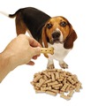 Pet Foods | Office Snax 00041 Doggie Biscuits (10/Box) image number 1