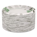 Plates | Dixie SXP9PATH Pathways Soak Proof Shield 8.5 in. Paper Plates - Green/Burgundy (125/Pack) image number 0