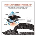 Head & Face Protection | Ergodyne 12329 Chill-Its 6700 One Size Fits Most Cooling Bandana Polymer Tie Headband - Skulls image number 1